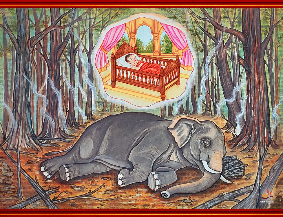 meghkumar purvbhav