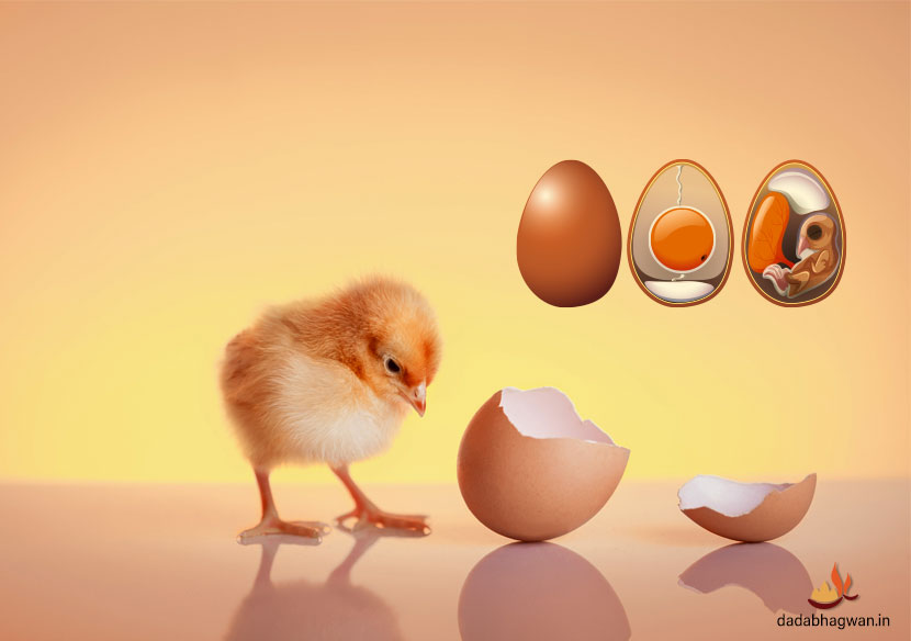 egg
